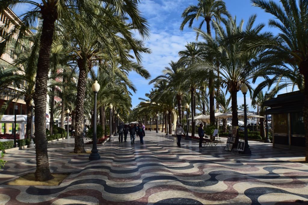 Apartament Solar Alicante Oda fotoğraf